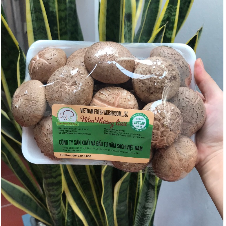 Nấm Hương Tươi - Nấm Ăn Lẩu 300gr | Nấm Sạch Việt Nam