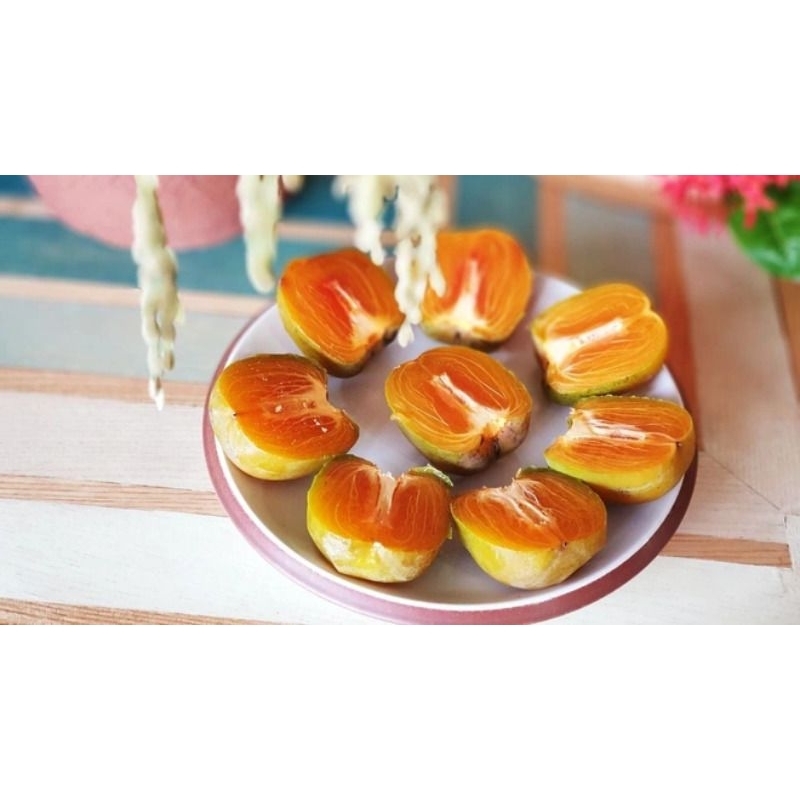 Cây giống Hồng Da Tre