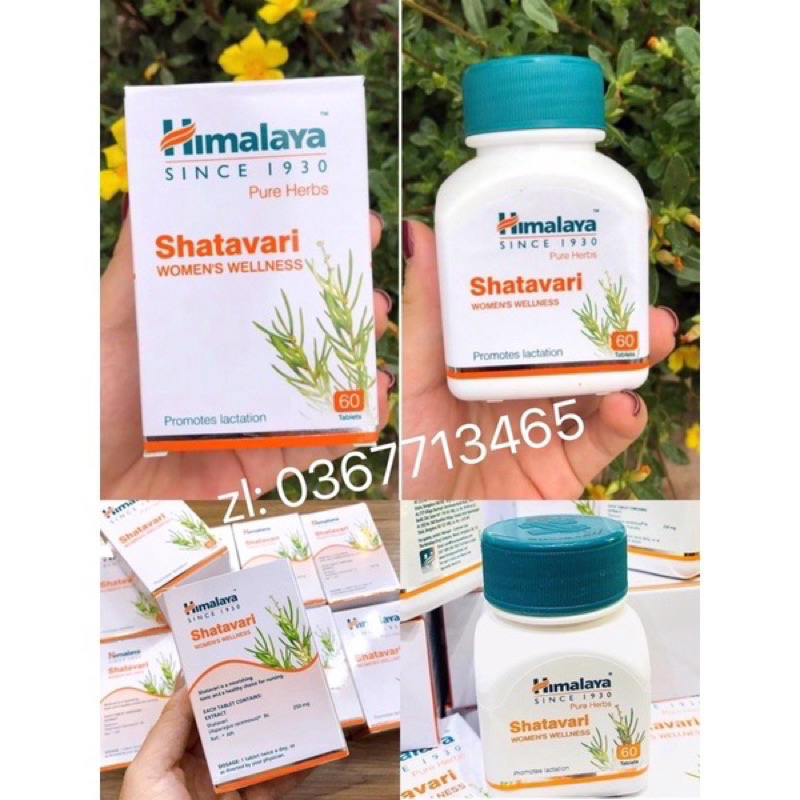 HIMALAYA SHATAVARI - VIÊN UỐNG NỘI TIẾT TỐ NỮ 60 VIÊN ẤN ĐỘ