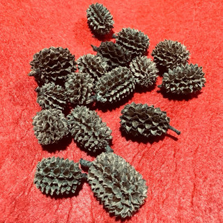 Set 10 quả thông nhỏ,quả Dương Liễu 2-3cm trang trí cây thông,vòng nguyệt quế xin xắn