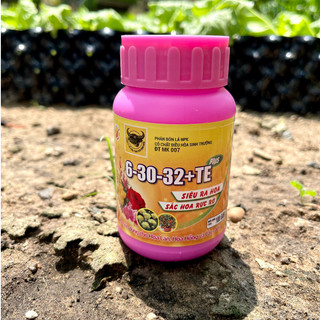 Phân kích mầm hoa 6 30 32 chai 100gram, phân đầu trâu ra hoa đẹp lâu tàn