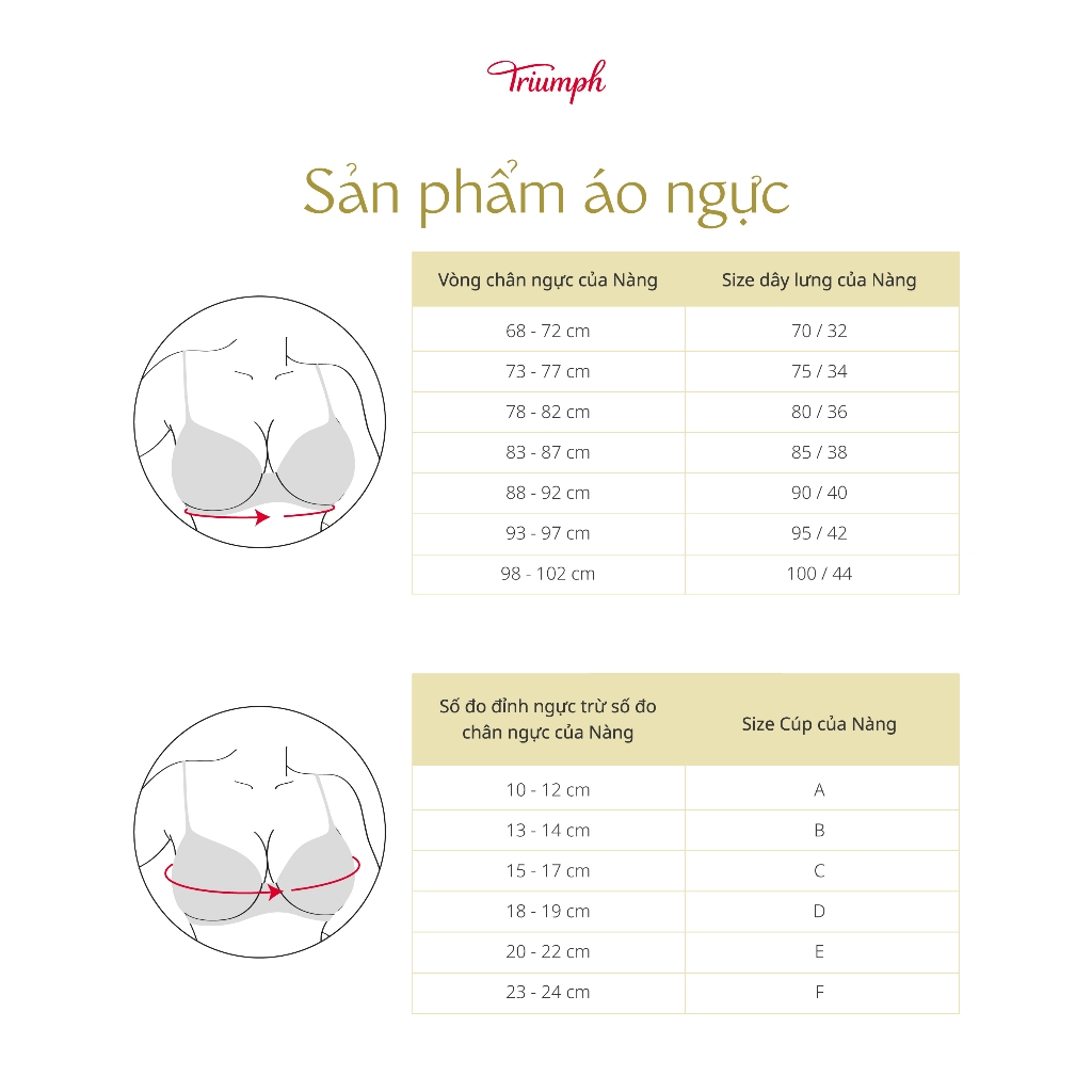 Áo ngực D 179 WHP Có Gọng Mút Mỏng