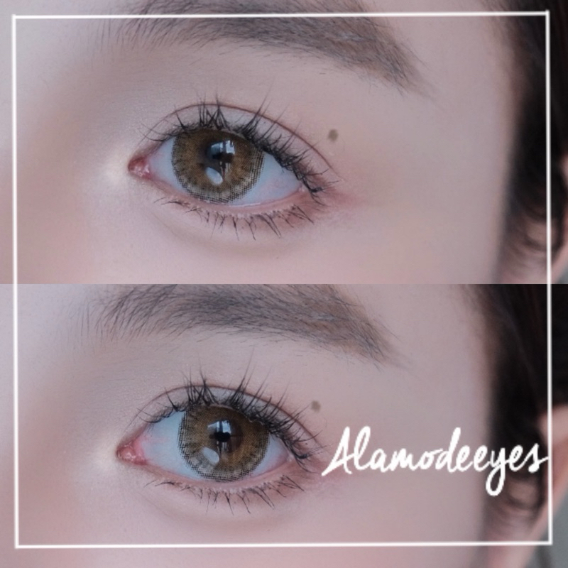 Lens nâu 3tone giãn nhẹ