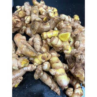 CỦ MAI GANG
