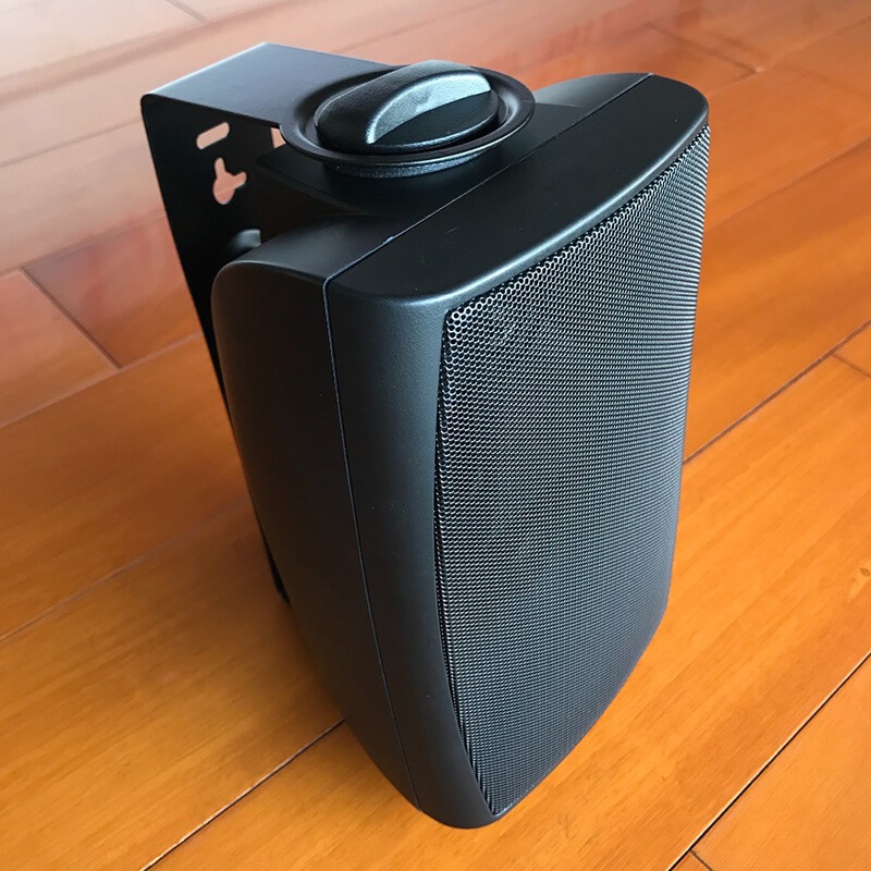 Loa treo tường 20W