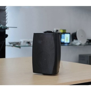 Loa treo tường 20W
