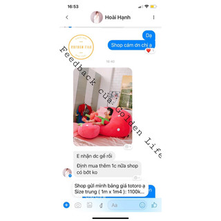 Ghế lười quả Dâu