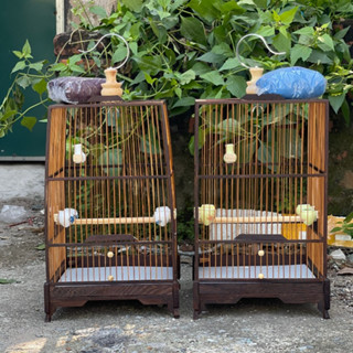  Lồng chim Hút mật Lồng khuyên Gỗ mun đuôi công rộng 23cm cao 42cm giá rẻ tặng kèm phụ kiện Kabosa 