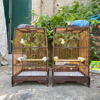 Lồng chim Hút mật, Khuyên, ốc mít Gỗ mun đuôi công rộng 23cm cao 42cm giá rẻ tặng kèm phụ kiện Kalotebon