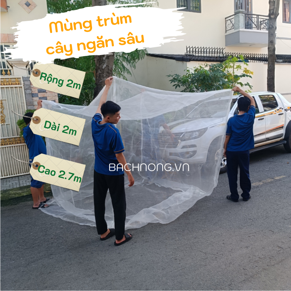 Tấm Mùng Lưới May Sẵn Trùm Cây Ăn Trái Chống Ruồi Vàng - Nhiều Kích Thước