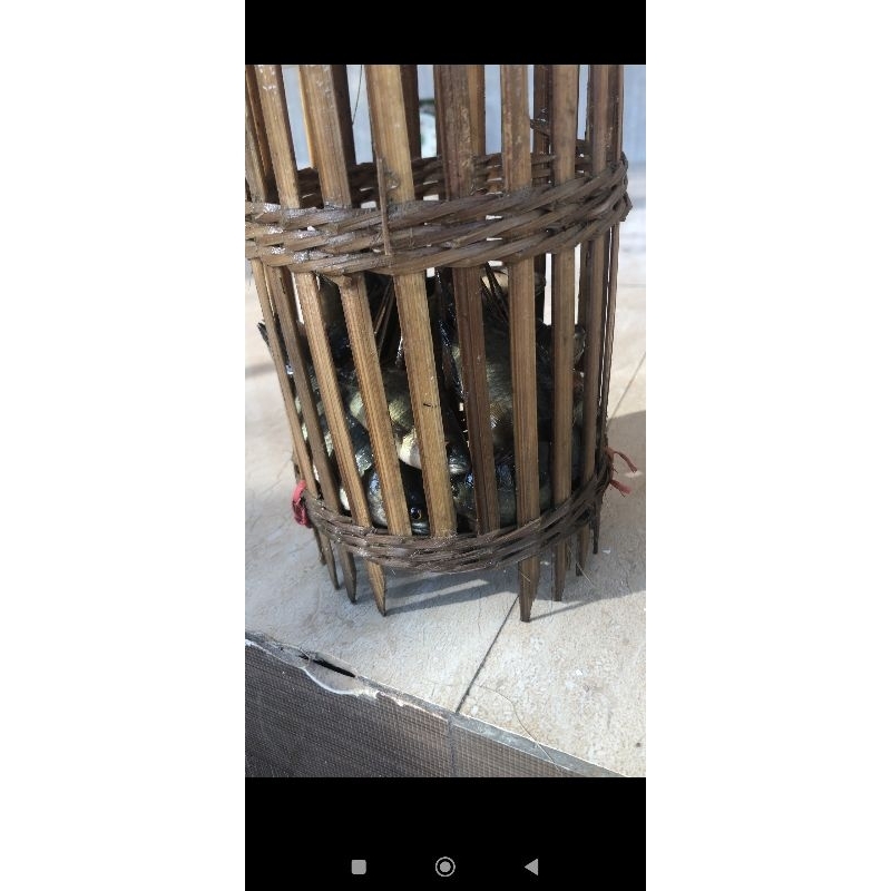 Rọ bẫy cá rô đồng  com bo 5 sản phẩm