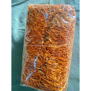 Đông Trùng Hạ Thảo (Gói 100gram)