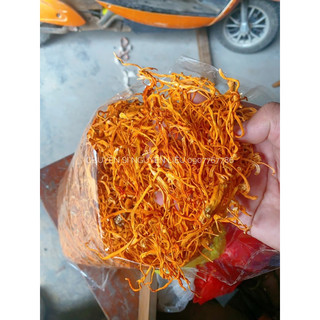 Đông Trùng Hạ Thảo (Gói 100gram)