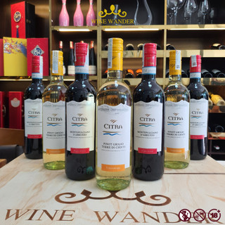  Rượu Vang Ý Vang đỏ Citra Montepulciano D'Abruzzo DOC 13% và Vang trắng Citra Pinot Grigio Terre di Chieti 12.5% 750ml 