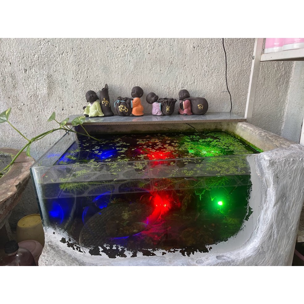 Thanh lý bộ 4 nhân vật Chú Tiểu An Tâm Lộc Tài