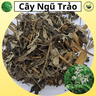 Cây Ngũ Trảo - Loại khô, hàng mới túi 500g & 1kg