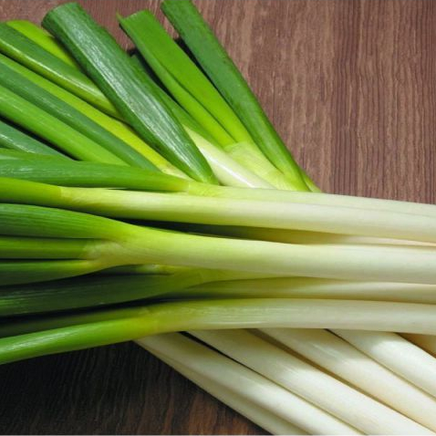 Hạt giống Rau thơm, Rau mùi các loại trồng quanh năm nảy mầm tốt