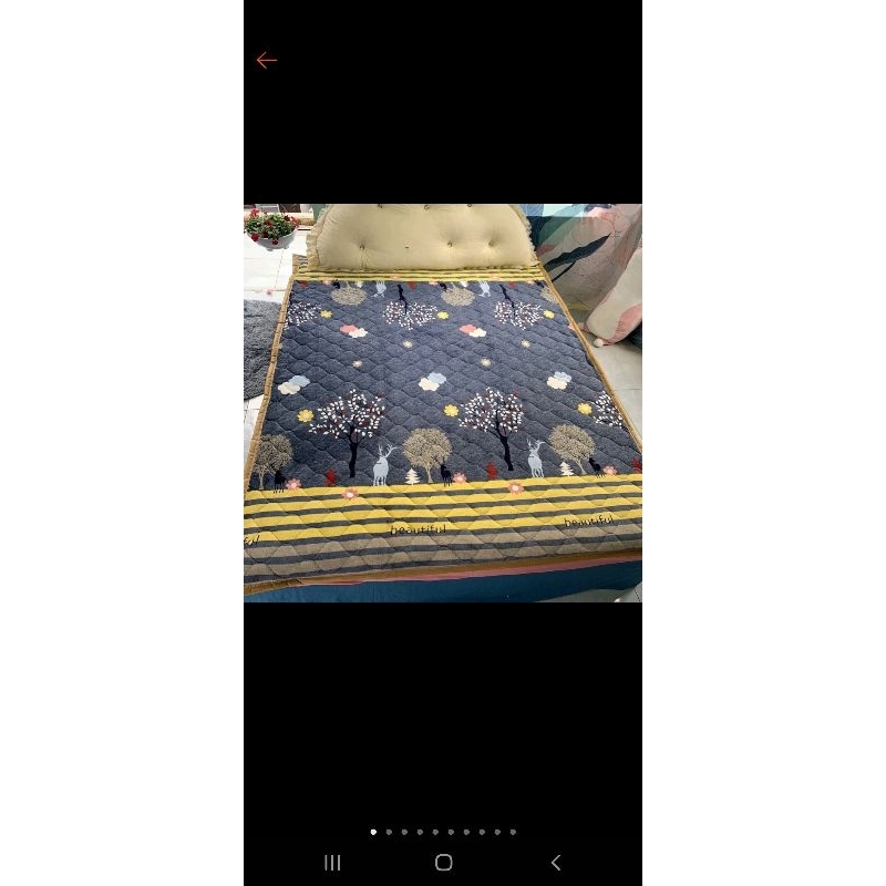 Thảm nhung trải sàn -giường siêu ấm kt m6-2m