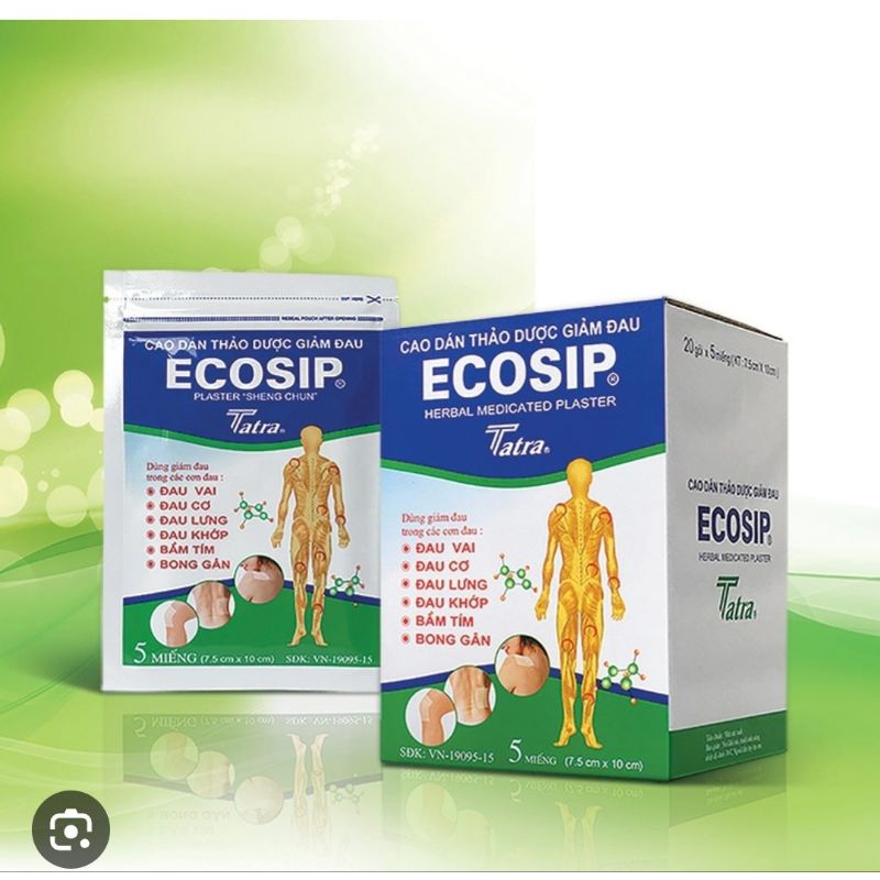 CAO DÁN THẢO DƯỢC GIẢM ĐAU ECOSIP BỊT/5 MIẾNG NHỎ