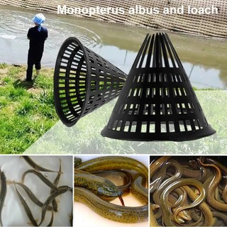 Hom bẫy lươn, trạch nhựa abs thái lan - siêu bền