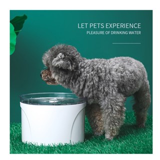 [Quà Tặng là TỜ GIẤY CATALOG KEOS] Máy lọc nước cho thú cưng, Đài phun nước 2.5L dành cho mèo, bằng inox không gỉ