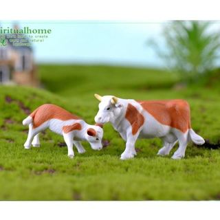 Tiểu cảnh, bò nông trại, terrarium, tiểu cảnh mini, tiểu cảnh sen đá