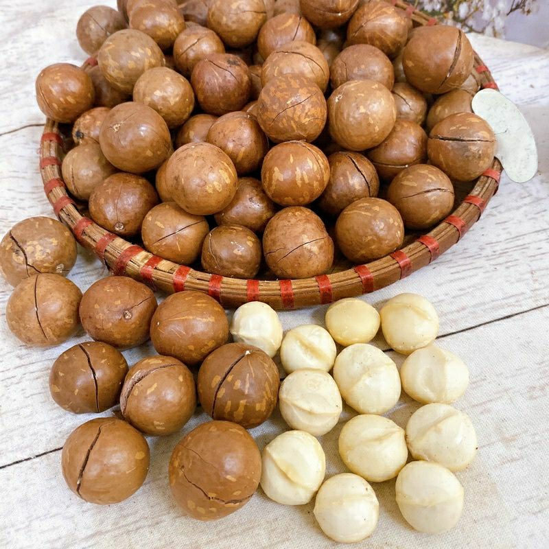 Hạt Macca Đắk Lắk tách vỏ sấy thơm ngon giàu dinh dưỡng