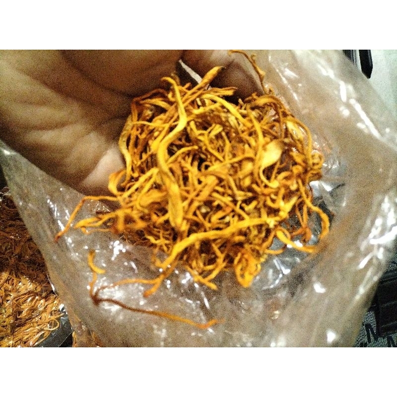 Nấm đông trùng hạ thảo sấy khô