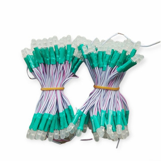 ( Gói 5 con) Đèn LED ruồi 5V / 12V - Xanh lá