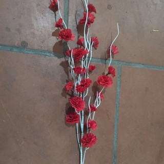 cành đào râu 1 nhánh lẻ