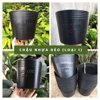 Chậu nhựa dẻo trồng cây, trồng rau, cây cảnh, trồng hoa - vattuxanh