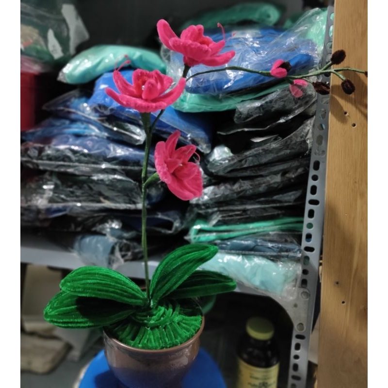 Chậu hoa lan kẽm nhung