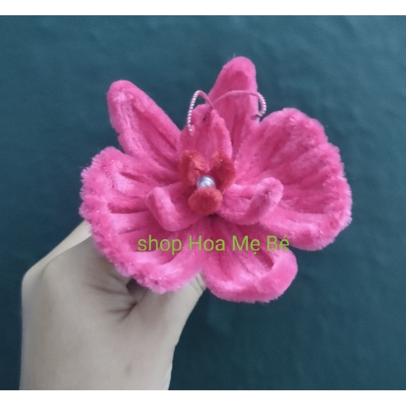 Chậu hoa lan kẽm nhung