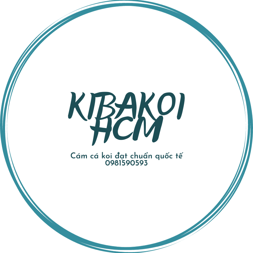 Cám cá Koi Kibakoi 2 trong 1 - cho cá Koi - - tăng size mạnh, lên màu chuẩn độ đạm cao hàng công ty