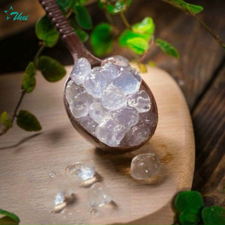 3Q trắng sea jelly
