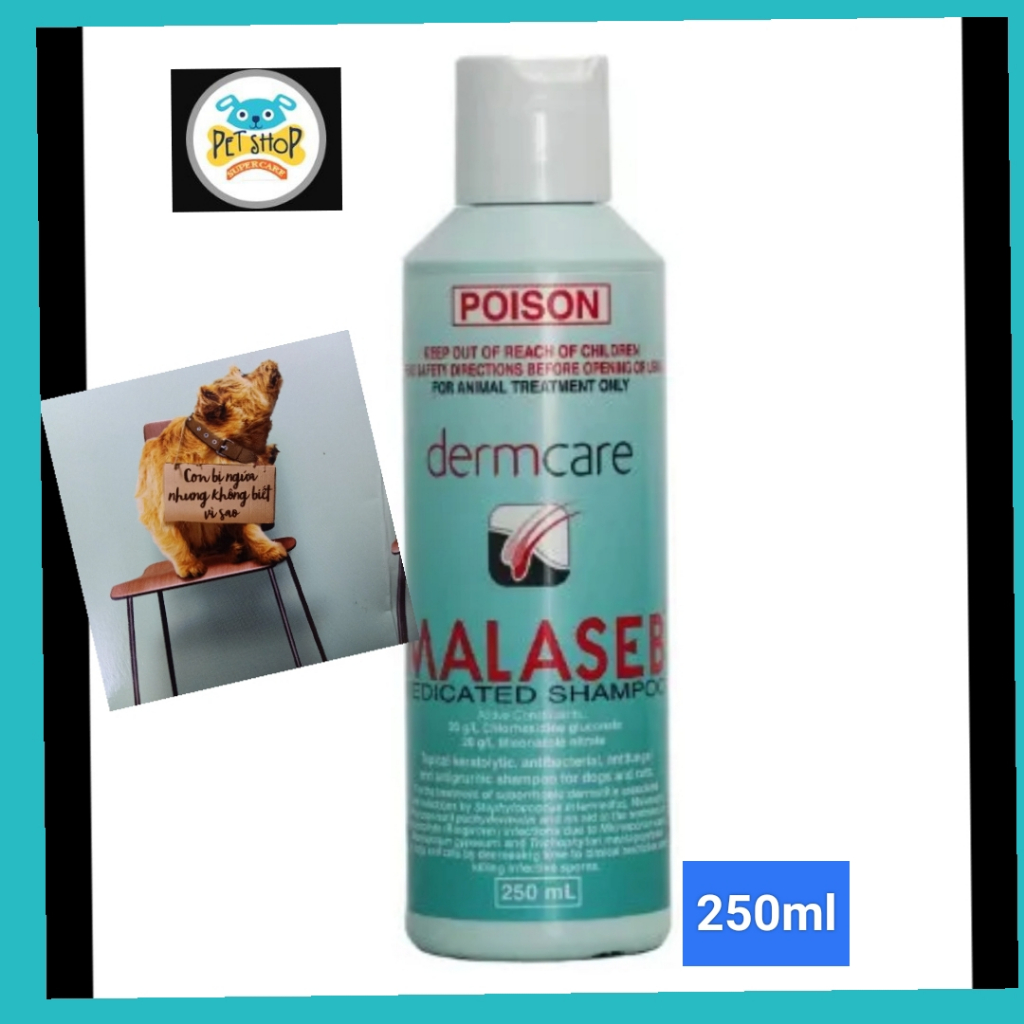 Loại Bỏ Ghẻ Và Nấm Da - Sữa Tắm Malaseb 250 ml & Derma 200ml