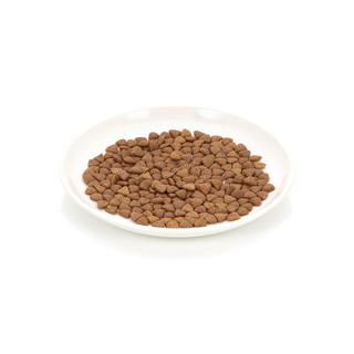 Thức ăn hạt cho mèo mọi lứa tuổi Nutri Plan Cat All stage Plus 5kg