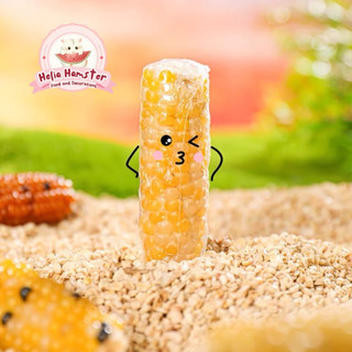 [SẴN] CARNO Bịch 5 bắp ngô mài răng cho hamster