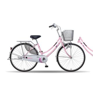 Xe Đạp Mini Asama CLD VI 2602 (Tặng đèn+ lục giác)