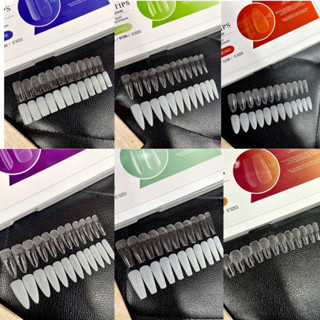 Móng úp Vinimay Soft Gel chính hãng loại trong và đục, hộp 552 móng 12 size - Kitty Nails Supply