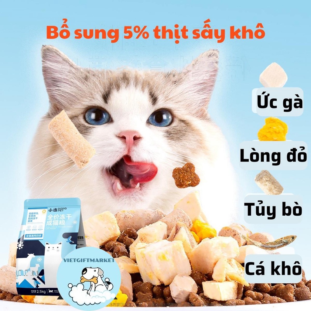 Thức Ăn Hạt Khô DONGPET Dành Cho Mèo Lớn Hơn 3 Tháng Tuổi Có Mixtopping Trứng Sấy, Tủy Xương Ống, Gà Sấy, Cá Sấy