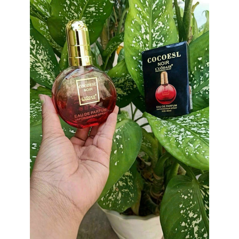 Tinh dầu dưỡng tóc Cocoesl Noir 80ml phục hồi tóc hư tổn chẻ ngọn