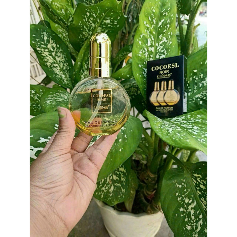 Tinh dầu dưỡng tóc Cocoesl Noir 80ml phục hồi tóc hư tổn chẻ ngọn