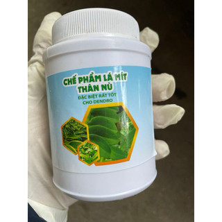 CHẾ PHẨM LÁ MÍT THÂN NÙ DÀNH CHO LAN - Phân bón mập thân lá mít  mập cây  siêu to lá dày lá  Chai 100g