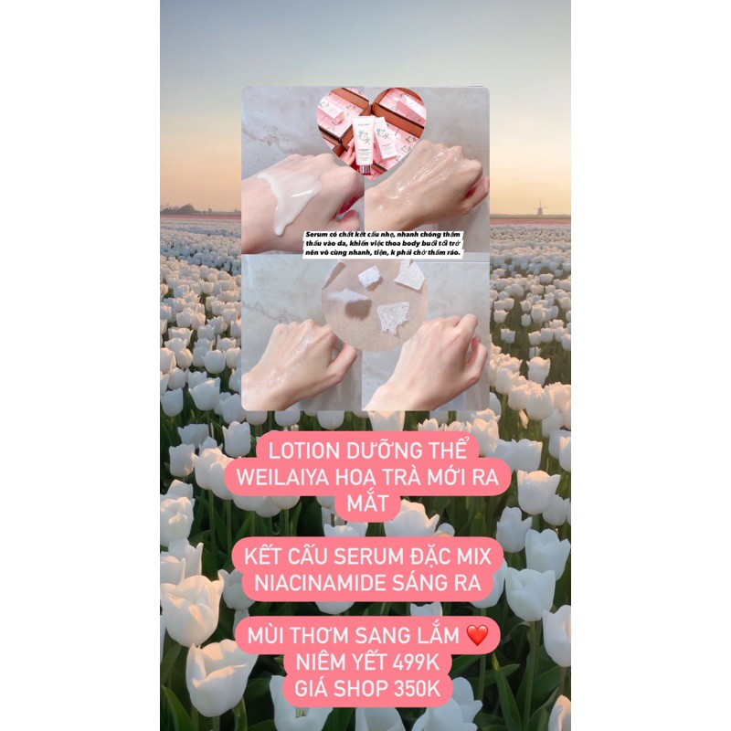 Body Lotion Hoa Trà nhà Weilaiya