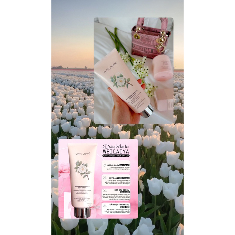 Body Lotion Hoa Trà nhà Weilaiya