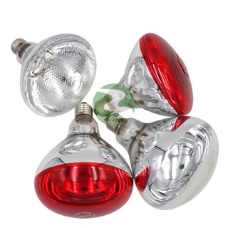 Bóng đèn úm 100w, 150w, 200w hồng ngoại ánh sáng đỏ