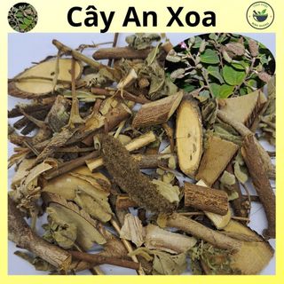 Cây an xoa - loại khô, hàng sạch, mới - túi 500g và 1kg