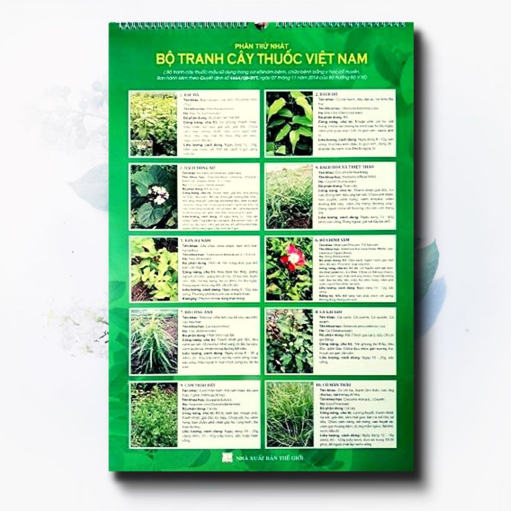 Sách - Bộ Tranh Cây Thuốc Việt Nam
