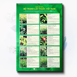 Sách - bộ tranh cây thuốc việt nam